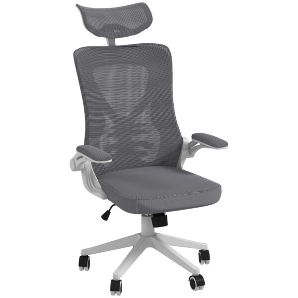 immagine-1-easycomfort-easycomfort-sedia-da-ufficio-ad-altezza-regolabile-con-supporto-lombare-e-braccioli-ribaltabili-65x64x120-130-cm-jpg