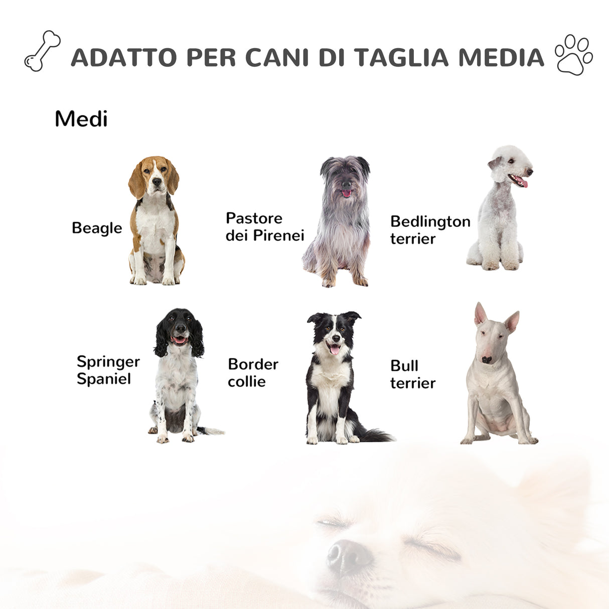 immagine-8-easycomfort-easycomfort-casetta-per-cani-da-esterno-con-porta-e-terrazza-cuccia-per-cani-di-taglia-media-tetto-apribile-e-finestra-grigio-jpg