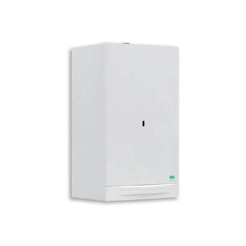 CALDAIA A GAS SAVIO ACTA E 28 A* GPL A CAMERA OPEN