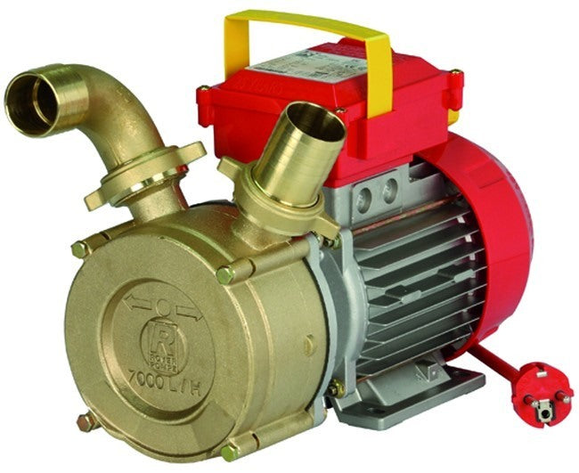 E.POMP MOD. 30 CE HP.0.90 220V