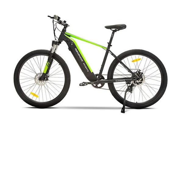 Elektrische fiets Zilver E-Bike Performance 250W 36V Zwart/Groen AR-BI-220002