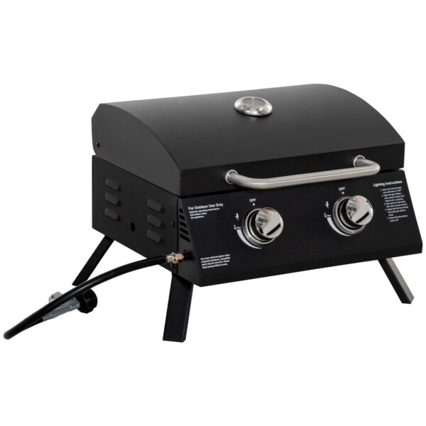 EASYCOMFORT Opvouwbare gasbarbecue met deksel, thermometer en 2 stalen branders, 55x46,5x41 cm, zwart