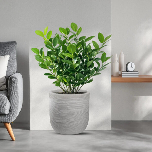 immagine-1-divina-garden-vaso-in-resina-da-esterno-interno-per-piante-cilindro-di-design-d-35x34h-raffaello-beige-ean-8056157809029