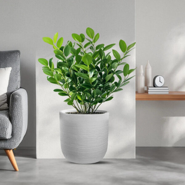 immagine-1-divina-garden-vaso-in-resina-da-esterno-interno-per-piante-cilindro-di-design-d-35x34h-raffaello-bianco-ean-8056157809012