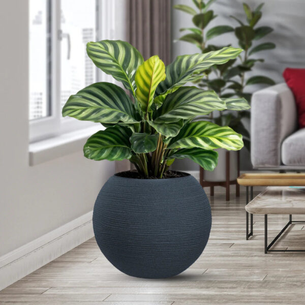 Divina Garden Binnenin Harsen Vaas voor Planten met Design Bol D.40x33h Botticelli Grijs