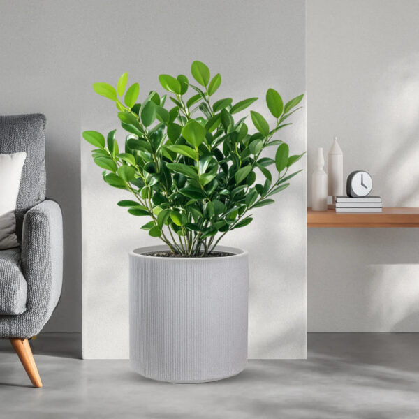 Divina Garden Binnen- en buitenvaas van kunsthars voor planten, cilindrisch ontwerp, 36 x 35 cm, Modigliani beige