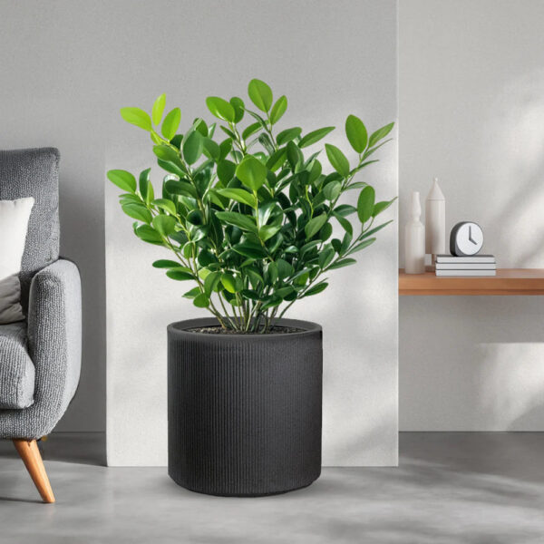 Binnen- en buitenvaas van kunsthars voor planten, cilindrisch ontwerp, D.36x35h, Modigliani grijs