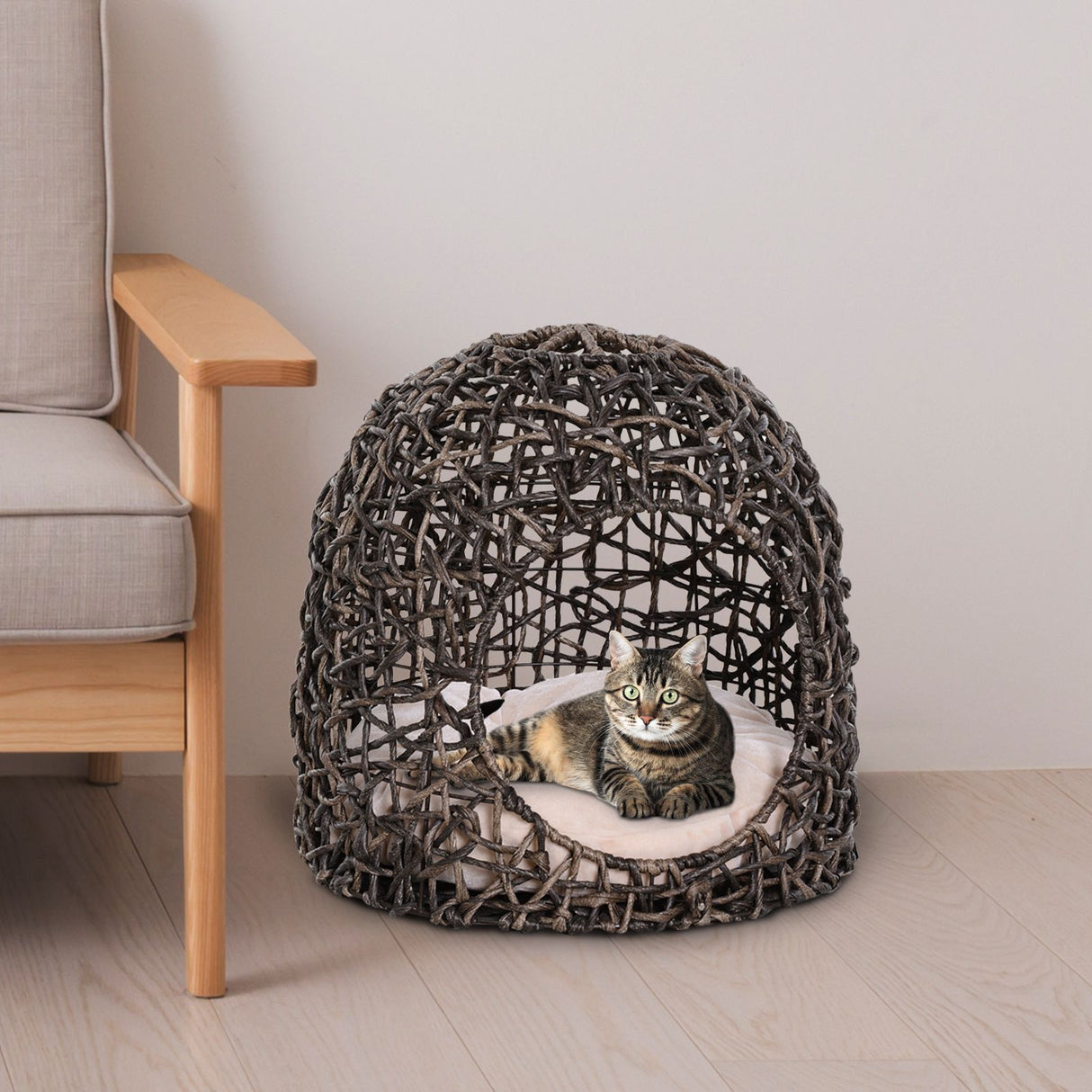 immagine-1-easycomfort-easycomfort-letto-per-gatti-in-vimini-marrone-con-cuscino-49-x-46-cm-ean-8054144139975-jpg immagine-1-easycomfort-easycomfort-letto-per-gatti-in-vimini-marrone-con-cuscino-49-x-46-cm-ean-8054144139975-jpg