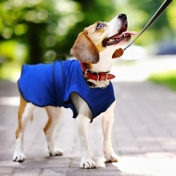 EASYCOMFORT Verfrissend tuigje voor middelgrote honden in blauwe microvezel